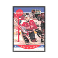 1990 Pro Set Don Beaupre Washington Capitals #307