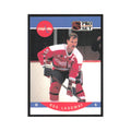 1990 Pro Set Rod Langway Washington Capitals #314