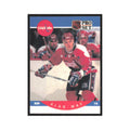 1990 Pro Set Alan May Washington Capitals #317