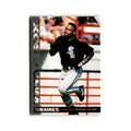 Tim Raines 1994 O-Pee-Chee #228 Chicago White Sox Baseball Card NM