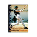 Luis Gonzalez 1994 O-Pee-Chee #263 Houston Astros Baseball Card NM
