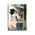 Lance Johnson 1994 O-Pee-Chee #262 Chicago White Sox Baseball Card NM