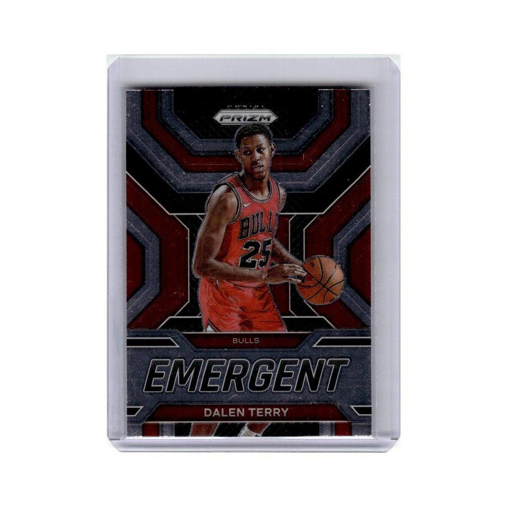 Dalen Terry 2022 Panini Prizm Emergent #29 Chicago Bulls Basketball Card NM