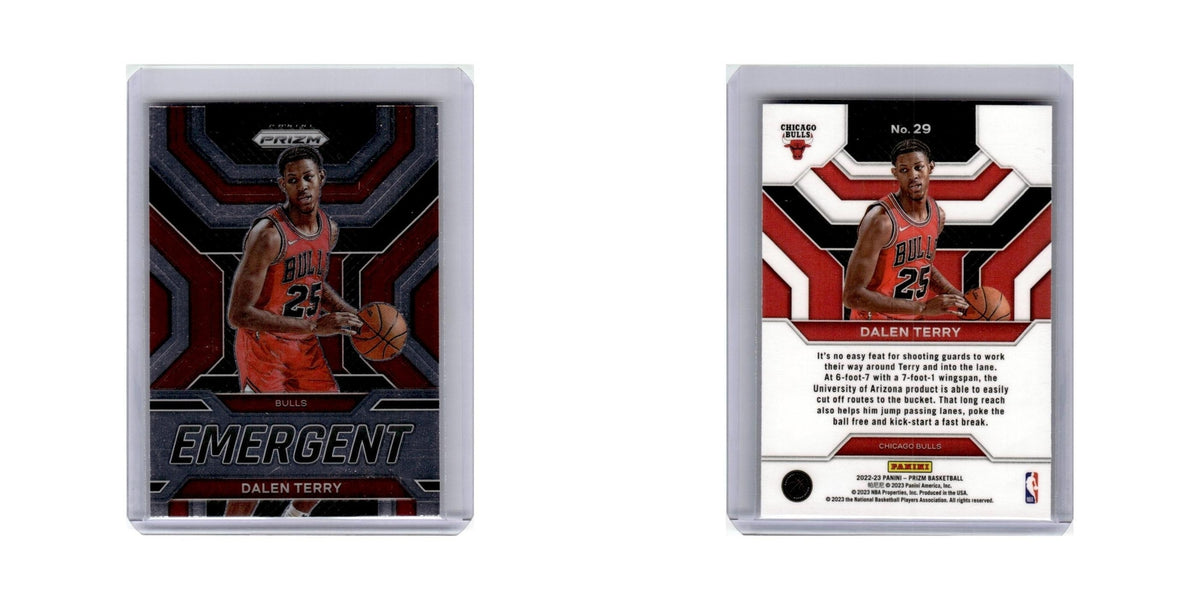 Dalen Terry 2022 Panini Prizm Emergent #29 Chicago Bulls Basketball Card NM
