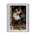 Corey Williams 1992 Hoops #364 Chicago Bulls Basketball Card NM