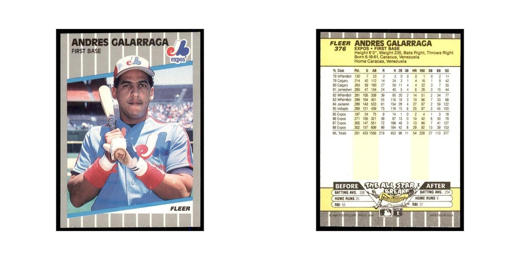 1989 Fleer Andres Galarraga Montreal Expos #376