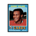 1971 Topps Johnny Roland Football Cards #123