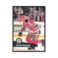1991 Pro Set Peter Stastny New Jersey Devils #143