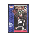 1991 Fleer David Robinson Spurs #187