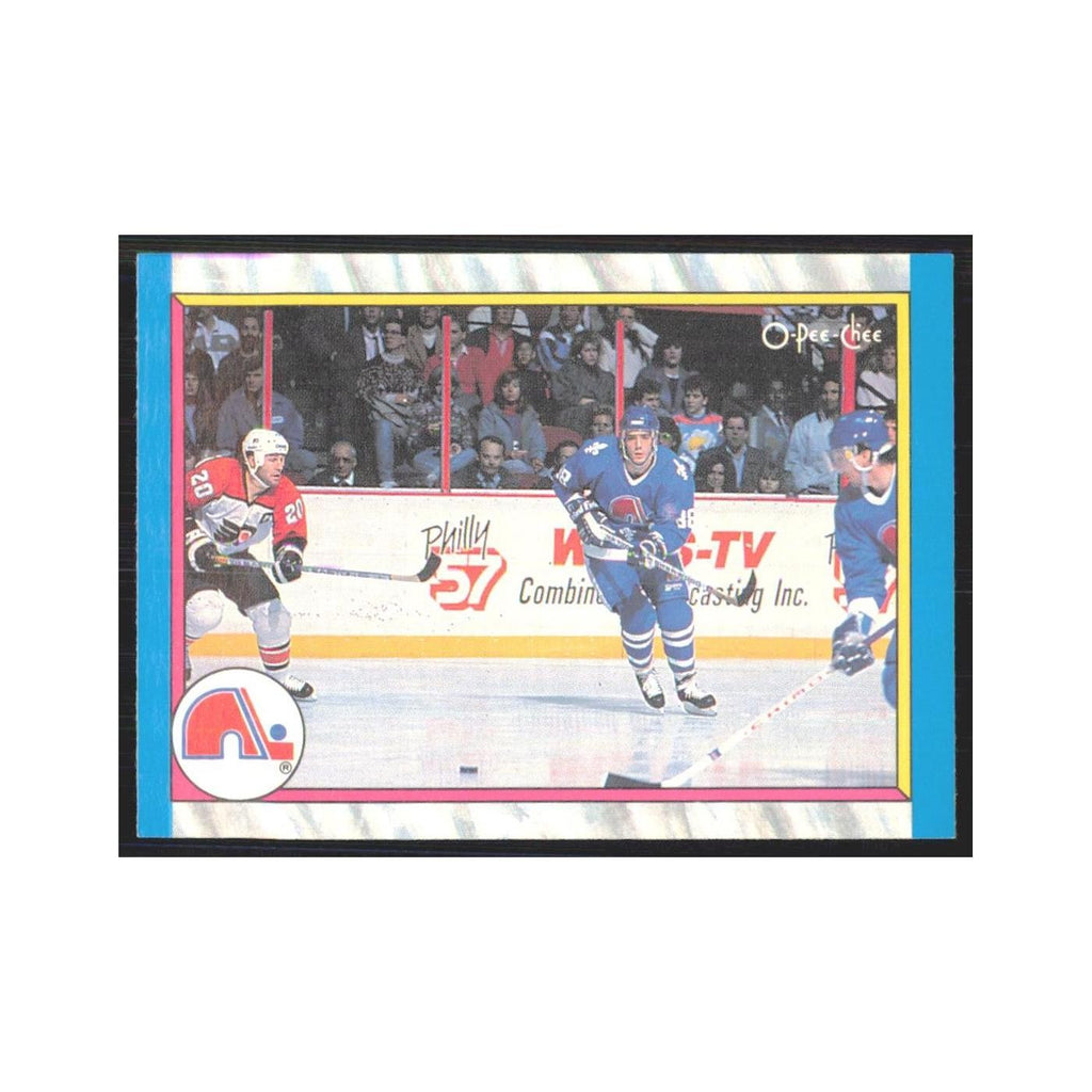 1989 O-Pee-Chee Final Standing Quebec Nordiques #313