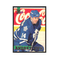 1994 Stadium Club Dave Andreychuk Toronto Maple Leafs #140