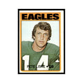 Pete Liske 1972 Topps (Damaged) #228 Philadelphia Eagles Football Card Poor