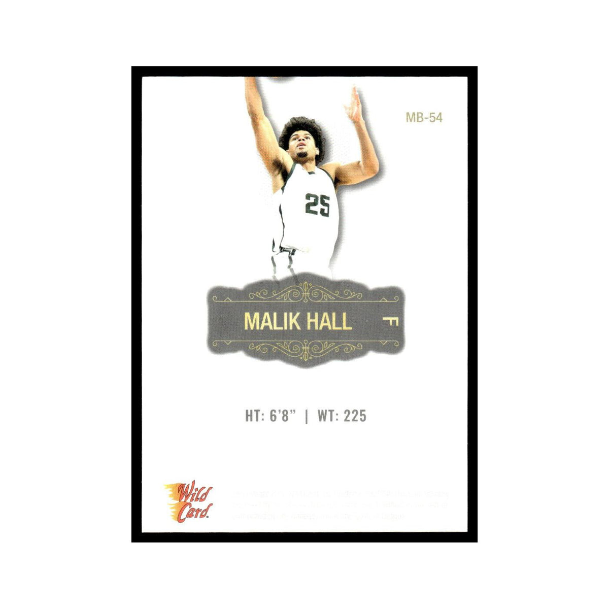 Malik Hall 2022 Wild Card Matte #MB-54 Basketball Card NM