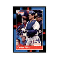 1988 Donruss Carlton Fisk Baseball Cards #260