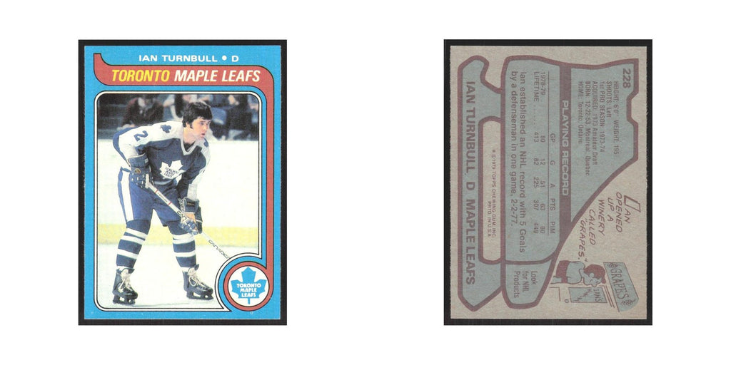 1979 Topps Ian Turnbull Toronto Maple Leafs #228