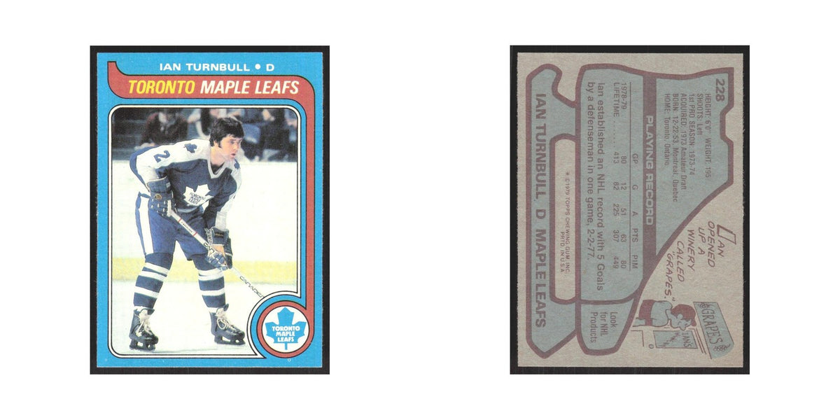 1979 Topps Ian Turnbull Toronto Maple Leafs #228
