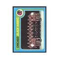1979 Topps Chicago Blackhawks Team Chicago Blackhawks #247
