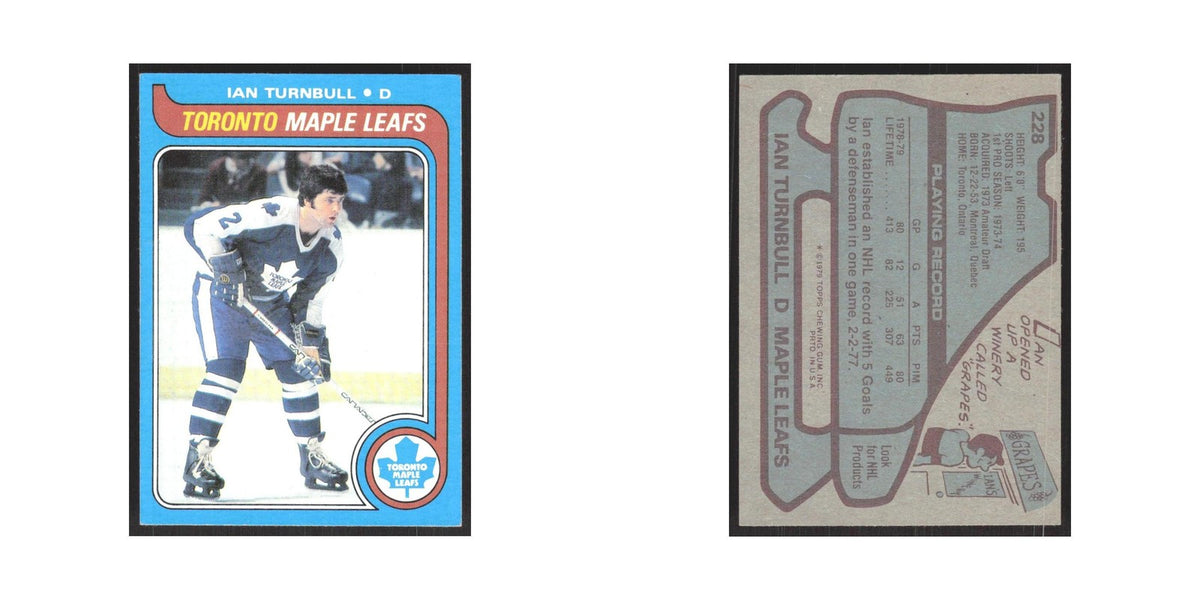1979 Topps Ian Turnbull Toronto Maple Leafs #228