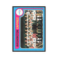 1979 Topps Washington Capitals Team Washington Capitals #260