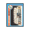 1979 Topps St. Louis Blues Team St. Louis Blues #257