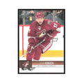 2012 Upper Deck Radim Vrbata Phoenix Coyotes #145