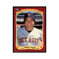 1986 Fleer Star Stickers Darrell Evans Baseball Cards #36