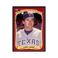 1986 Fleer Star Stickers Larry Parrish Baseball Cards #86