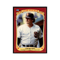 1986 Fleer Star Stickers LaMarr Hoyt Baseball Cards #63
