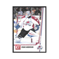 2010 Donruss Craig Anderson Colorado Avalanche #6