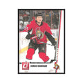 2010 Donruss Sergei Gonchar Ottawa Senators #222