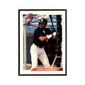 1992 Bowman Lance Johnson Baseball Cards #208