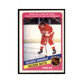 1984 O-Pee-Chee Brad Park Detroit Red Wings #390