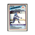 1984 O-Pee-Chee Michel Goulet Quebec Nordiques #366