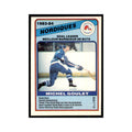 1984 O-Pee-Chee Michel Goulet Quebec Nordiques #366