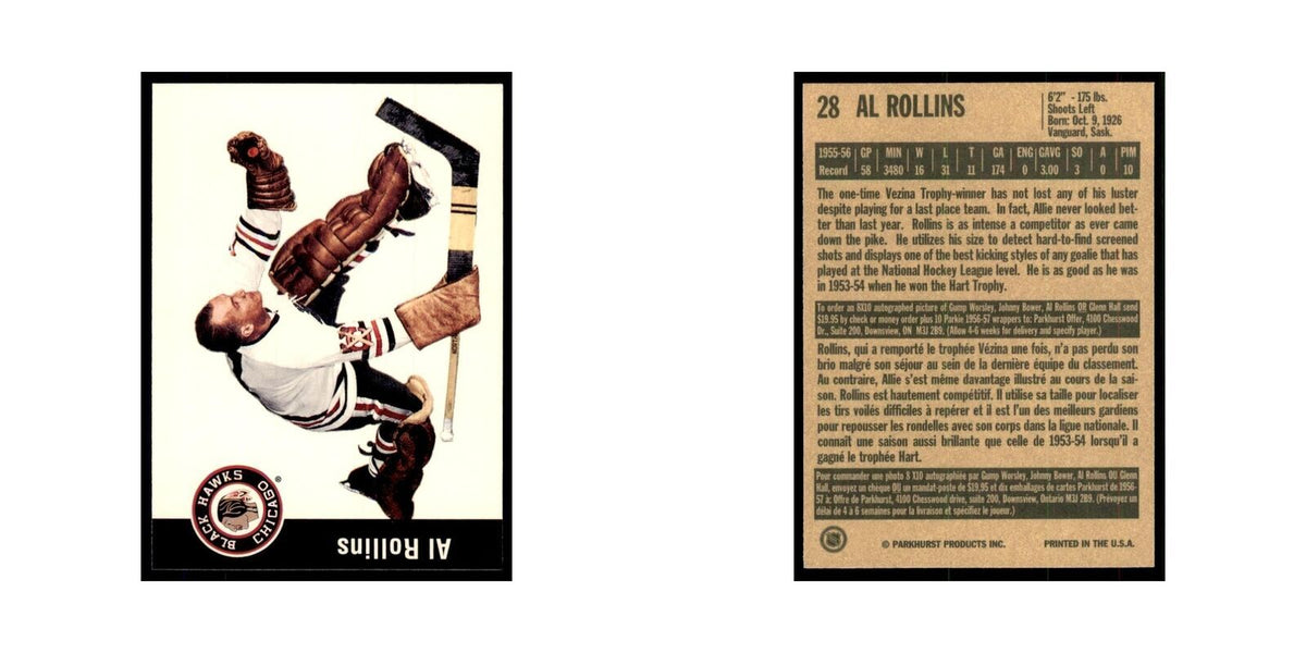 1994 Parkhurst Missing Link Al Rollins Chicago Blackhawks #28