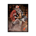 2014 Topps Valor Jordan Cameron Football Cards #178