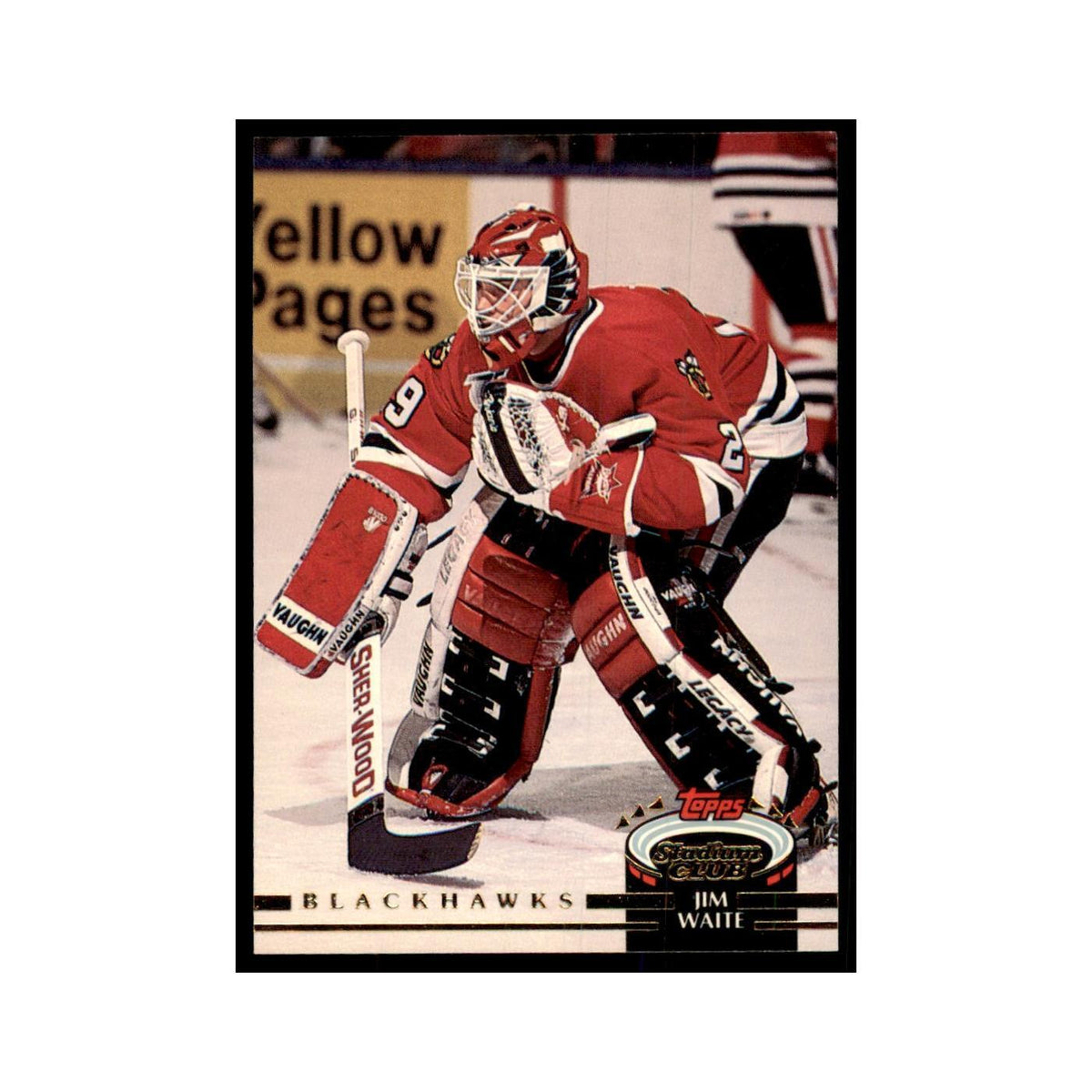 1992 Stadium Club Jim Waite Hockery Cards #35