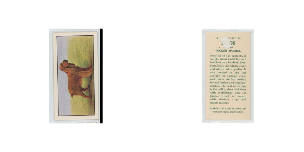 1961 Barbers Teas Dogs Cocker Spaniel #19.0