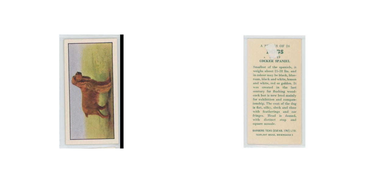 1961 Barbers Teas Dogs Cocker Spaniel #19.0