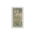 1964 Booke Bond Wild Flowers Series 3 Larger Wintergreen #24.0