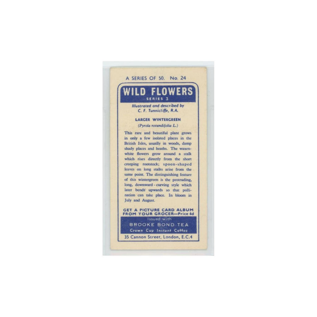 1964 Booke Bond Wild Flowers Series 3 Larger Wintergreen #24.0