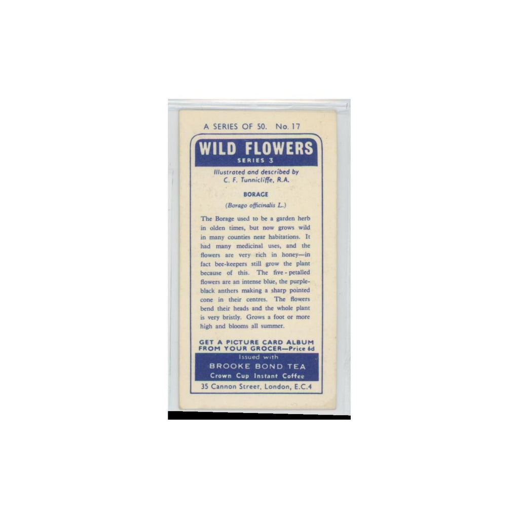 1964 Booke Bond Wild Flowers Series 3 Borage #17.0