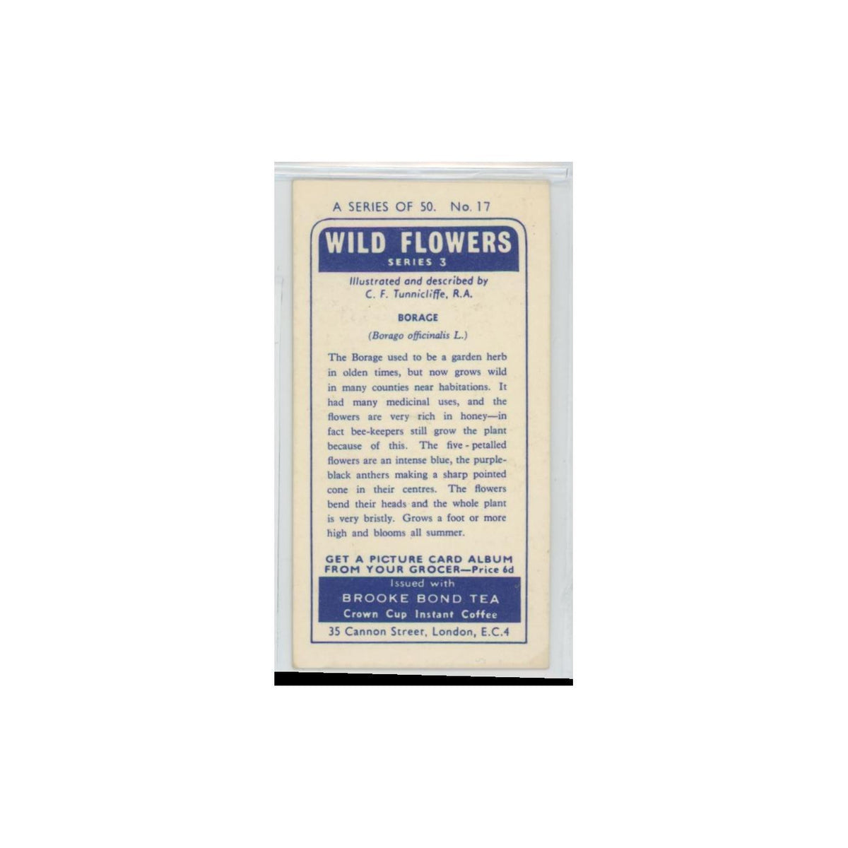 1964 Booke Bond Wild Flowers Series 3 Borage #17.0