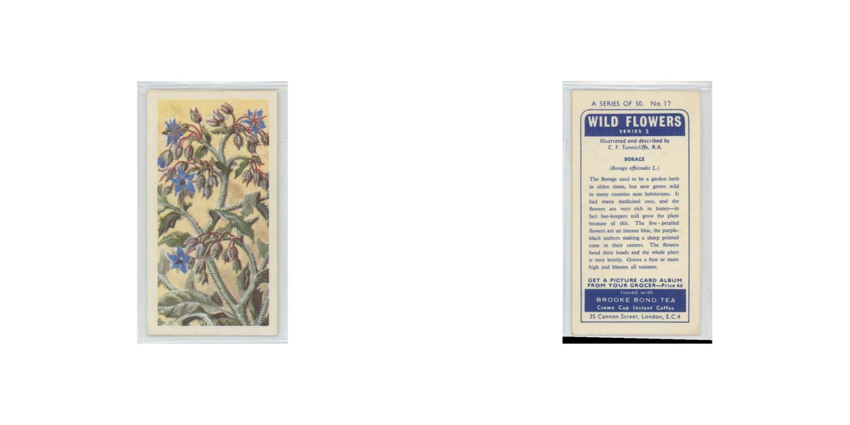 1964 Booke Bond Wild Flowers Series 3 Borage #17.0
