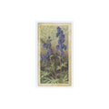 1964 Booke Bond Wild Flowers Series 3 Monkshood #43.0