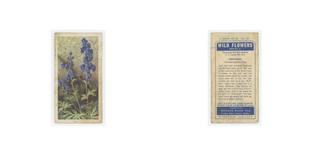 1964 Booke Bond Wild Flowers Series 3 Monkshood #43.0