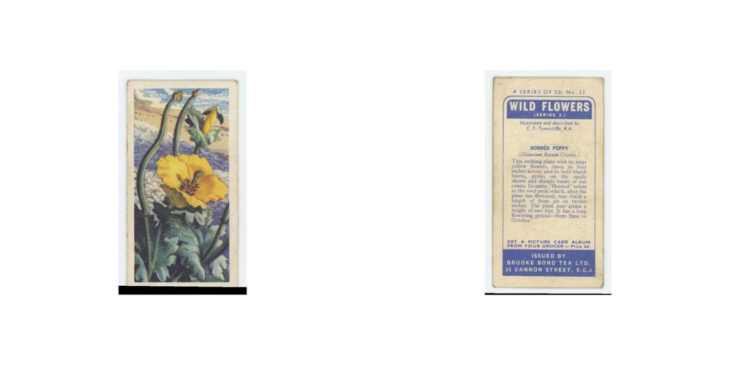 1959 Brooke Bond Wild Flowers Series 2 Horned Poppy #33.0