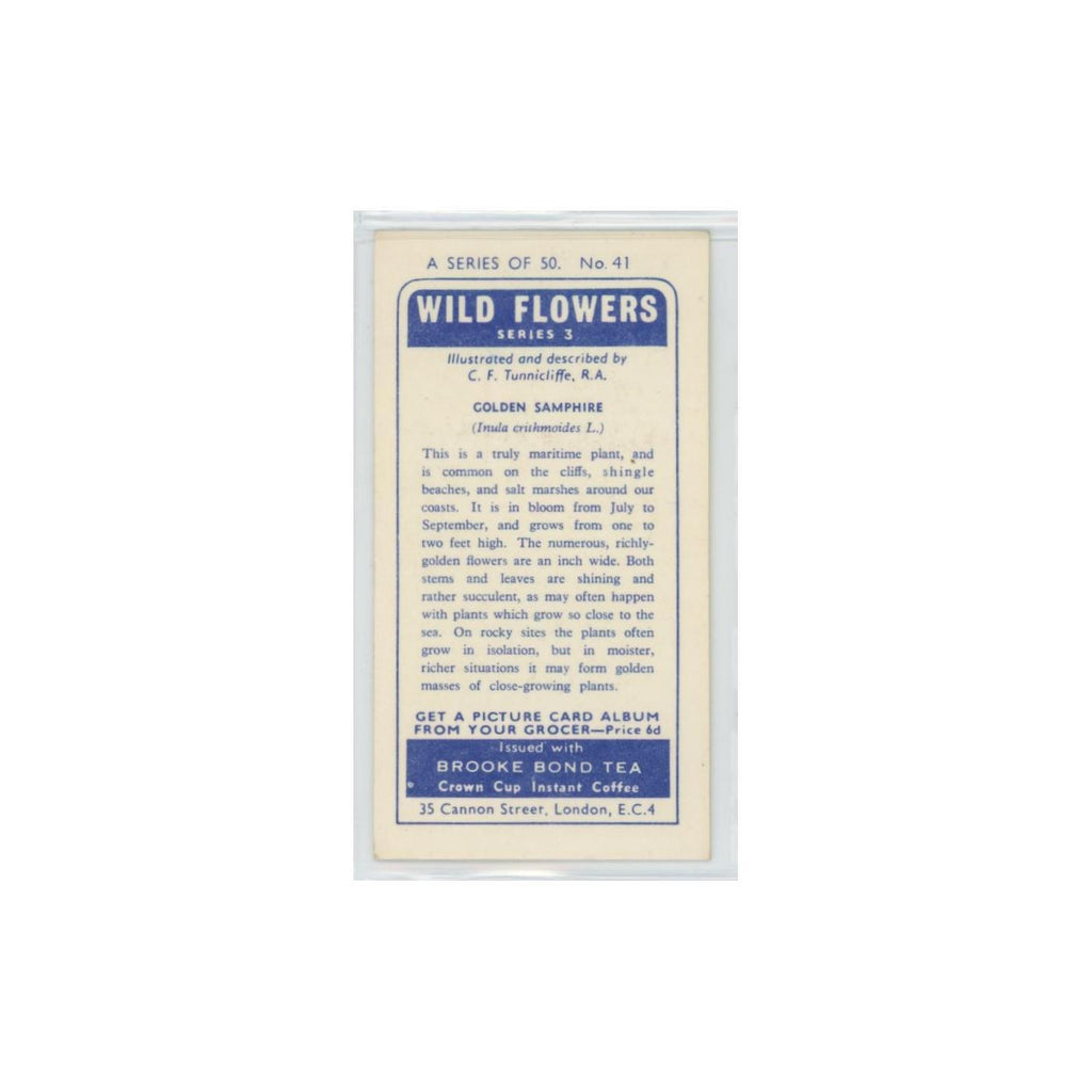 1964 Booke Bond Wild Flowers Series 3 Golden Samphire #41.0