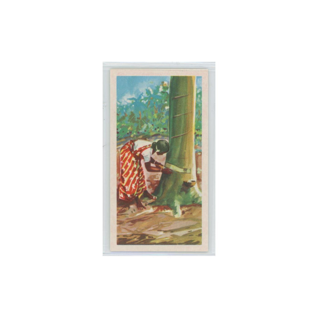 1955 Ceylon Tea Island of Ceylon Rubber #10.0
