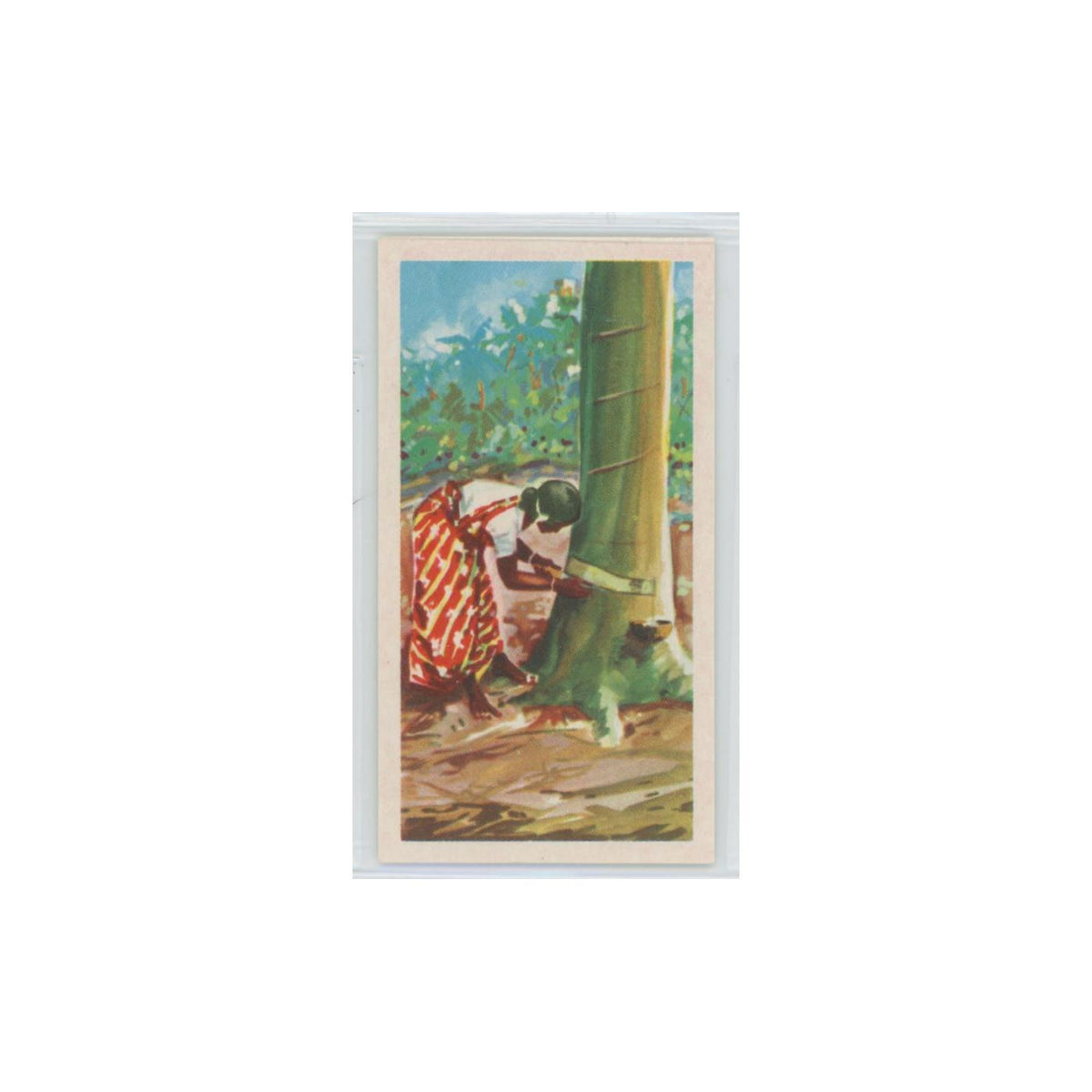 1955 Ceylon Tea Island of Ceylon Rubber #10.0